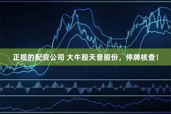 正规的配资公司 大牛股天普股份，停牌核查！