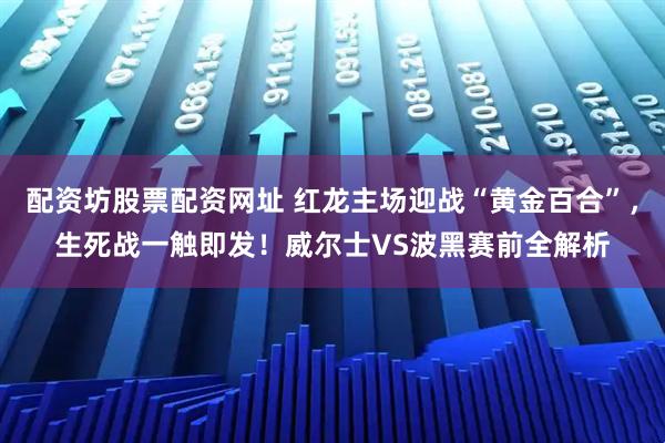 配资坊股票配资网址 红龙主场迎战“黄金百合”，生死战一触即发！威尔士VS波黑赛前全解析